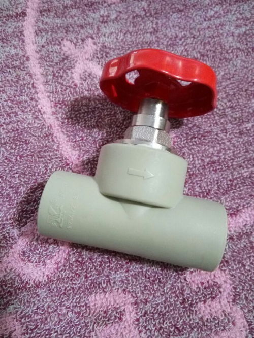 供应多联塑胶ppr灰色截止阀 25